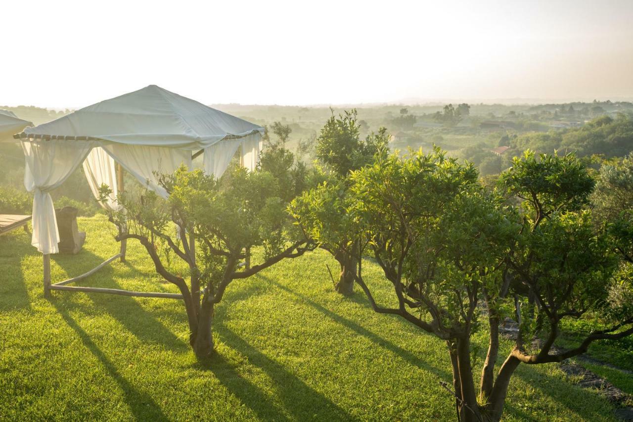 Monaci Delle Terre Nere Otel Zafferana Etnea Dış mekan fotoğraf