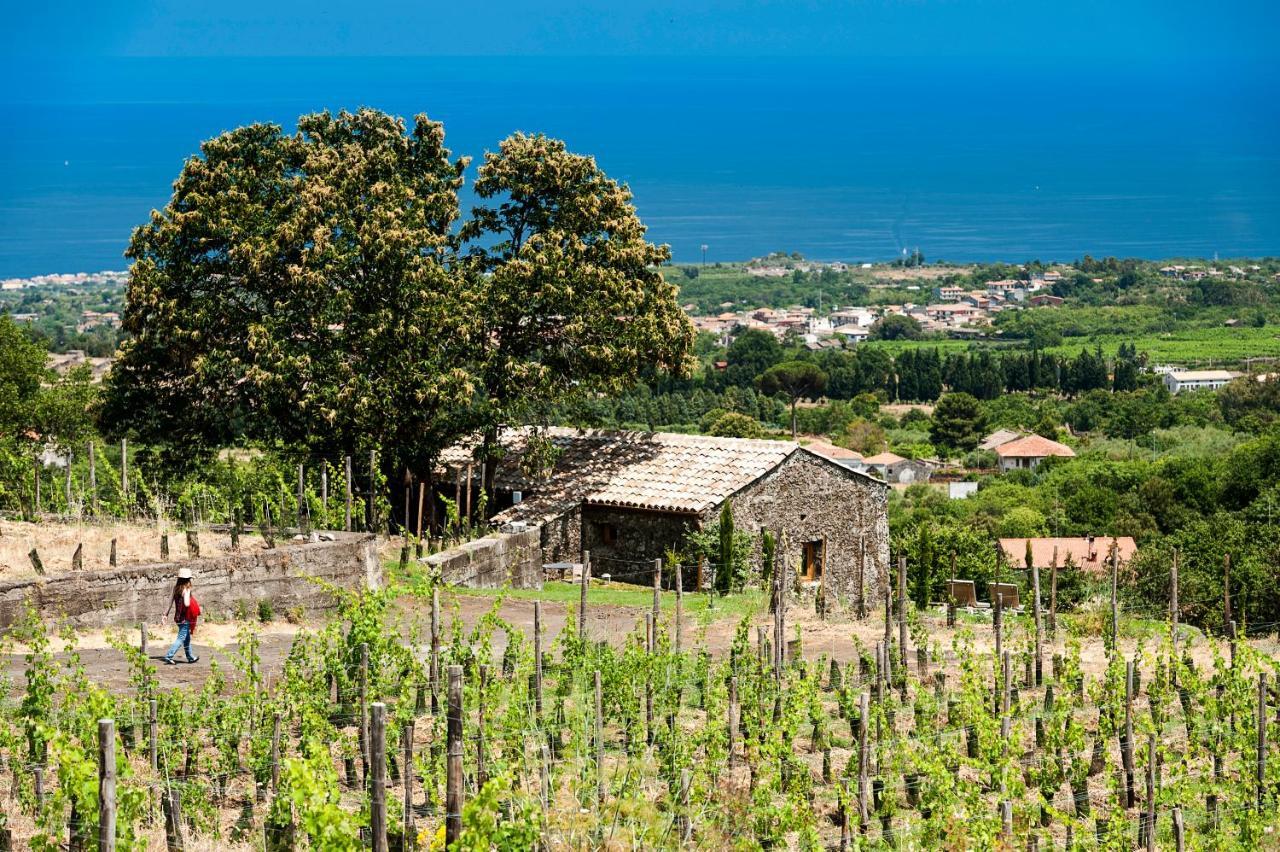 Monaci Delle Terre Nere Otel Zafferana Etnea Dış mekan fotoğraf